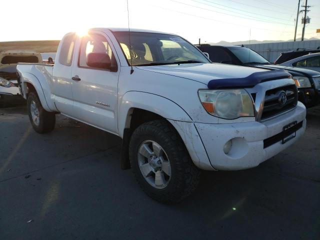 5TEUU42N19Z652533 - 2009 TOYOTA TACOMA ACCESS CAB თეთრი ფოტო 4
