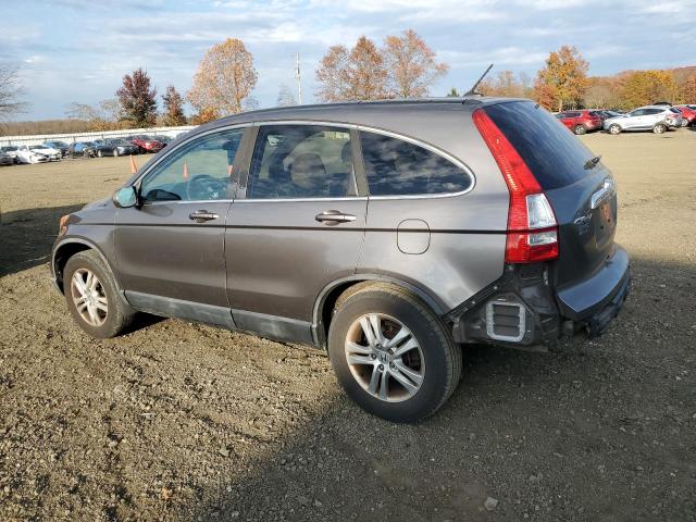 5J6RE4H7XAL049749 - 2010 HONDA CR-V EXL TAN photo 2