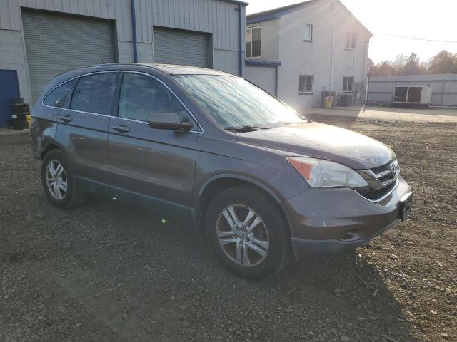 5J6RE4H7XAL049749 - 2010 HONDA CR-V EXL TAN photo 4