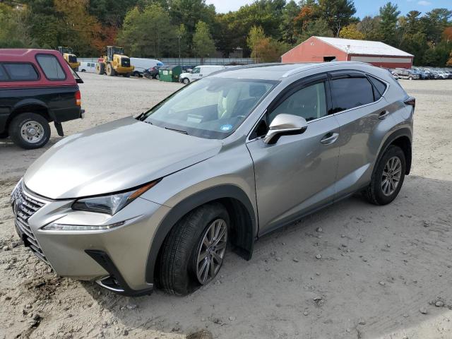 JTJDARDZ6M2239796 - 2021 LEXUS NX 300 BASE ვერცხლისფერი ფოტო 1