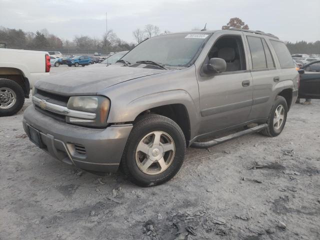 1GNDT13S252270569 - 2005 CHEVROLET BLAZER LS TAN photo 1