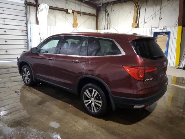 5FNYF6H54JB035244 - 2018 HONDA PILOT EXL BURGUNDY photo 2