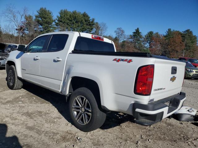 1GCGTBEN4K1186323 - 2019 CHEVROLET COLORADO WHITE photo 2