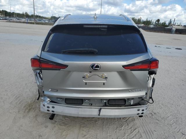 JTJSARBZ3M2202943 - 2021 LEXUS NX 300 BASE 棕色 照片 6