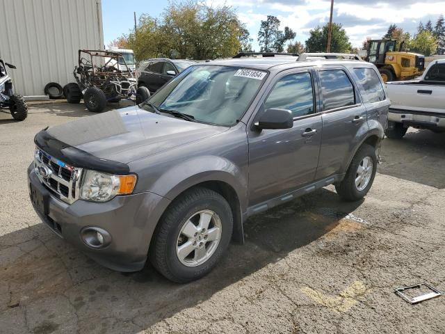 1FMCU0D70BKA44608 - 2011 FORD ESCAPE XLT GRAY photo 1