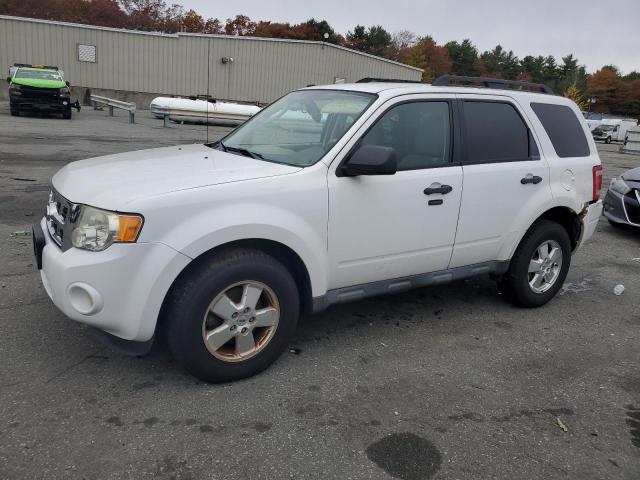 1FMCU9D79BKB26390 - 2011 FORD ESCAPE XLT WHITE photo 1