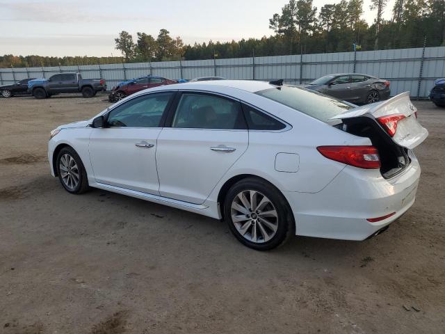 5NPE34AF6HH502629 - 2017 HYUNDAI SONATA SPORT WHITE photo 2