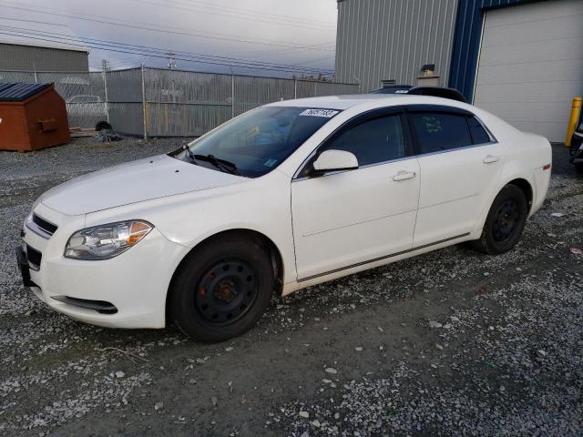 1G1ZD5EUXBF396290 - 2011 CHEVROLET MALIBU 2LT WHITE photo 1