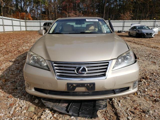 JTHBK1EG3C2480900 - 2012 LEXUS ES 350 GOLD photo 5