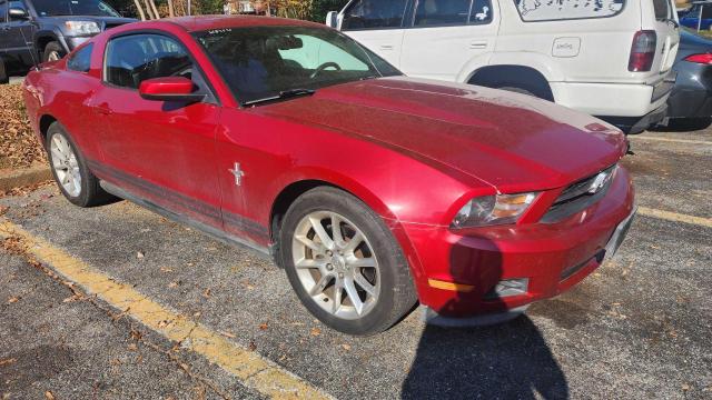 1ZVBP8AM0B5135874 - 2011 FORD MUSTANG RED photo 1