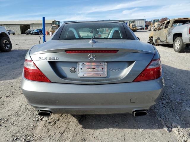 WDDPK4HA5FF104427 - 2015 MERCEDES-BENZ SLK 250 SILVER photo 6