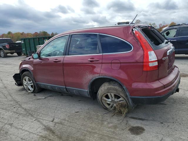 5J6RE4H71AL082428 - 2010 HONDA CR-V EXL BURGUNDY photo 2