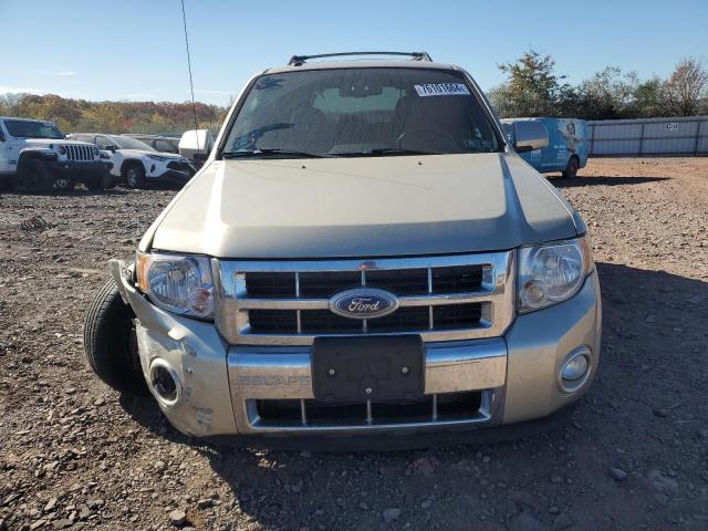 1FMCU9EG7AKC81534 - 2010 FORD ESCAPE LIMITED BEIGE photo 5