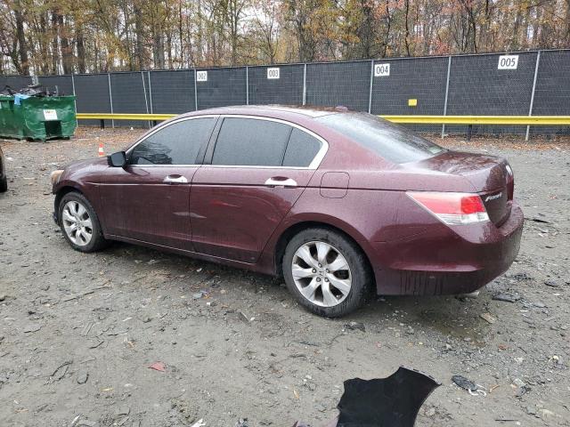 5KBCP3F88AB011176 - 2010 HONDA ACCORD EXL BURGUNDY photo 2