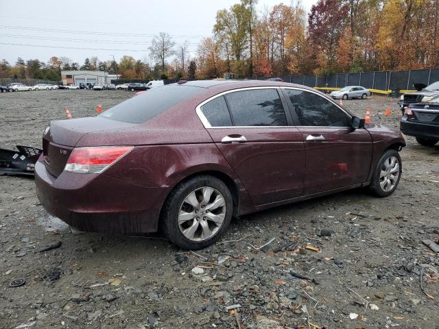 5KBCP3F88AB011176 - 2010 HONDA ACCORD EXL BURGUNDY photo 3