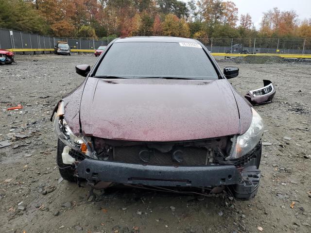 5KBCP3F88AB011176 - 2010 HONDA ACCORD EXL BURGUNDY photo 5