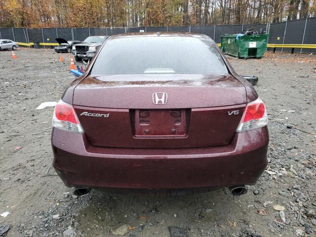 5KBCP3F88AB011176 - 2010 HONDA ACCORD EXL BURGUNDY photo 6