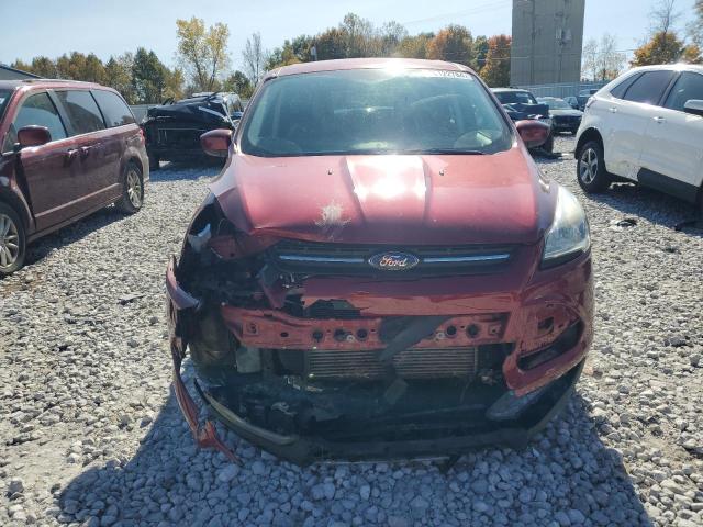 1FMCU0GX4EUE37435 - 2014 FORD ESCAPE SE BURGUNDY photo 5