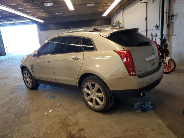 3GYFNDE39DS636267 - 2013 CADILLAC SRX PERFORMANCE COLLECTION Or photo 2
