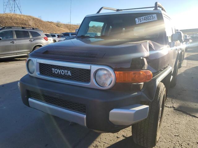 JTEBU11F670075457 - 2007 TOYOTA FJ CRUISER PURPLE photo 5