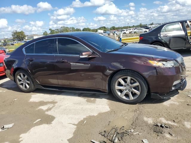 19UUA8F22CA008171 - 2012 ACURA TL PURPLE photo 4