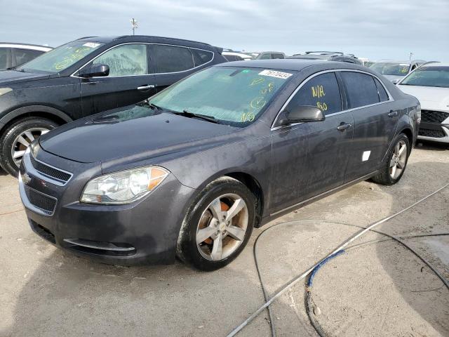 1G1ZC5E11BF213481 - 2011 CHEVROLET MALIBU 1LT 黑色 照片 1