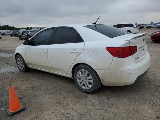 KNAFU4A25D5680005 - 2013 KIA FORTE EX WHITE photo 2