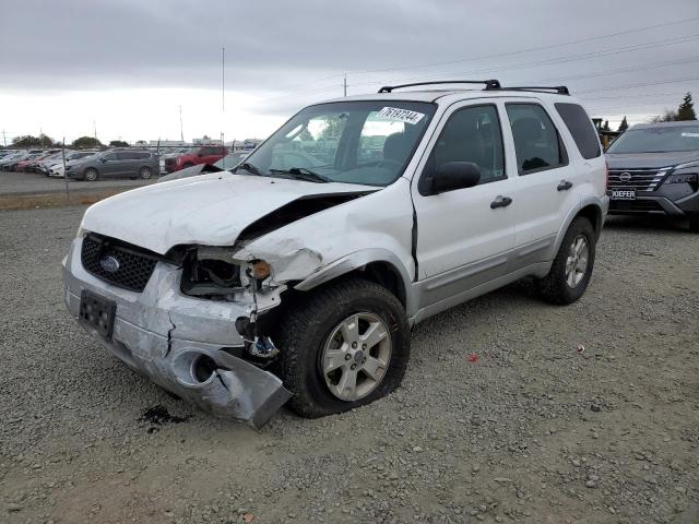 1FMYU93127KC05619 - 2007 FORD ESCAPE XLT WHITE photo 1