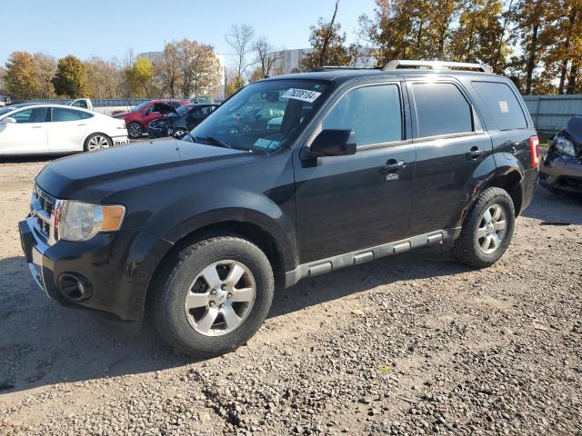 2010 FORD ESCAPE LIMITED, 