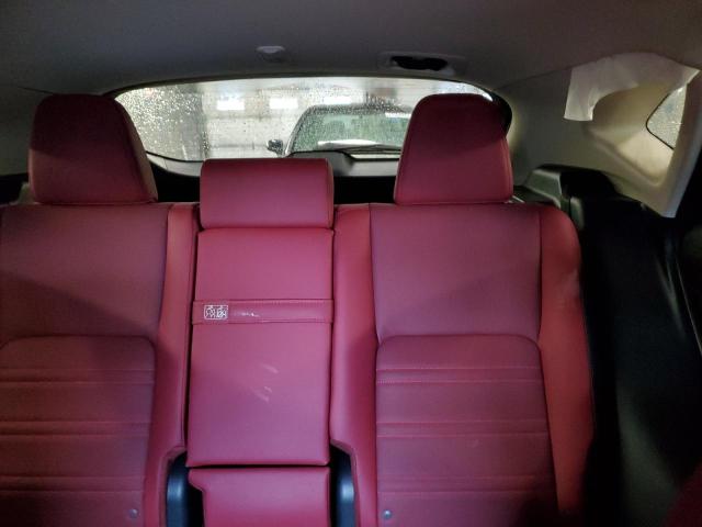 JTJDARDZ7M2236955 - 2021 LEXUS NX 300 BASE 银色 照片 10