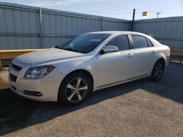1G1ZC5E13BF235546 - 2011 CHEVROLET MALIBU 1LT 白色 照片 1