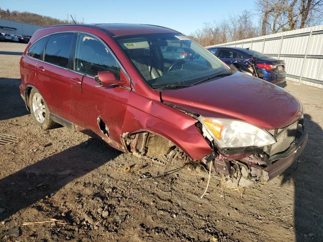 JHLRE4H77BC016735 - 2011 HONDA CR-V EXL BURGUNDY photo 4