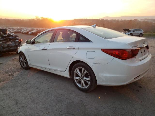 5NPEC4AC9BH255829 - 2011 HYUNDAI SONATA SE WHITE photo 2