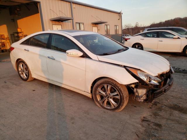 5NPEC4AC9BH255829 - 2011 HYUNDAI SONATA SE WHITE photo 4