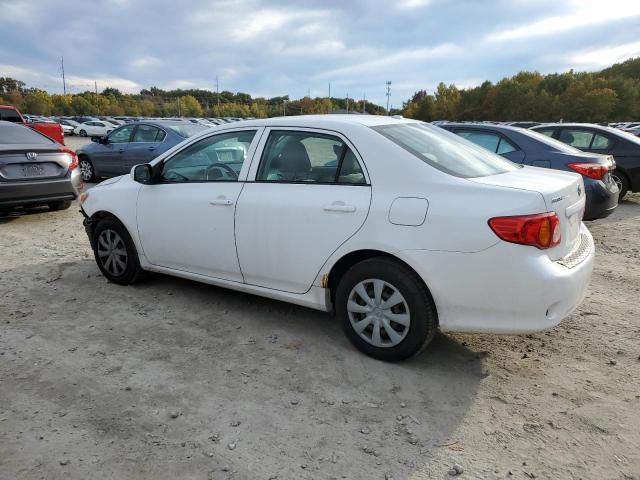 1NXBU4EEXAZ384738 - 2010 TOYOTA COROLLA BASE WHITE photo 2