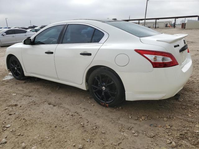 1N4AA5APXAC835426 - 2010 NISSAN MAXIMA S WHITE photo 2