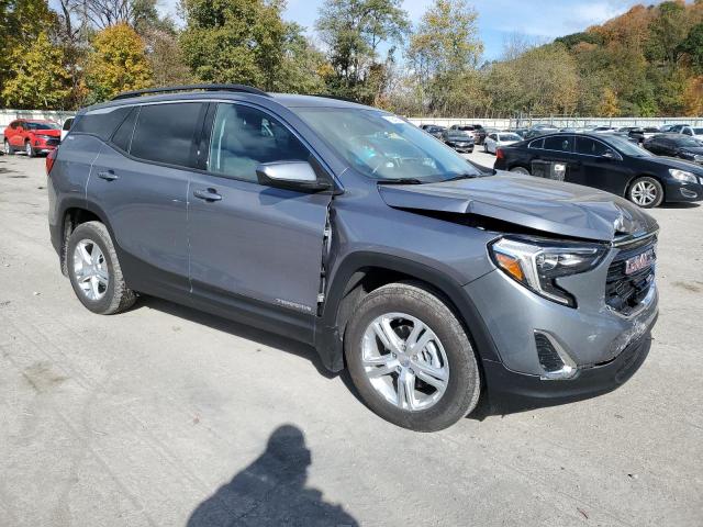 3GKALMEV2LL289286 - 2020 GMC TERRAIN SLE GRAY photo 4