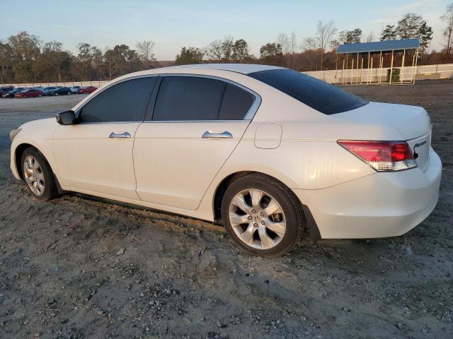 1HGCP36738A034911 - 2008 HONDA ACCORD EX WHITE photo 2