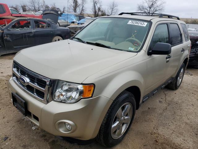 1FMCU0D71CKA21646 - 2012 FORD ESCAPE XLT BEIGE photo 1