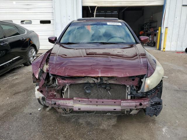 1HGCP26878A101688 - 2008 HONDA ACCORD EXL BURGUNDY photo 5