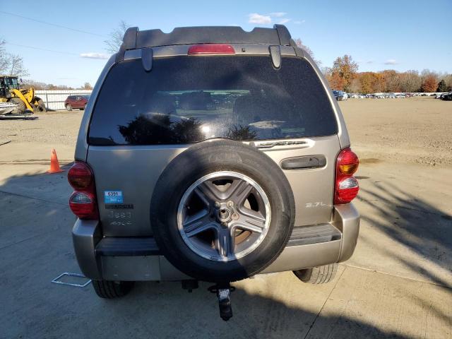 1J4GL38K33W630054 - 2003 JEEP LIBERTY RENEGADE TAN photo 6