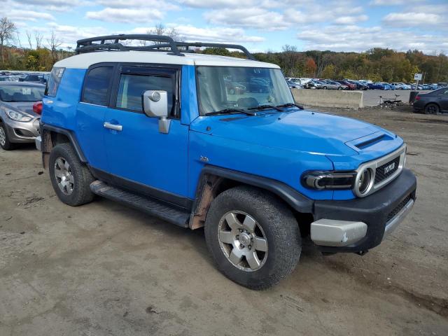 JTEBU11F670015288 - 2007 TOYOTA FJ CRUISER BLUE photo 4