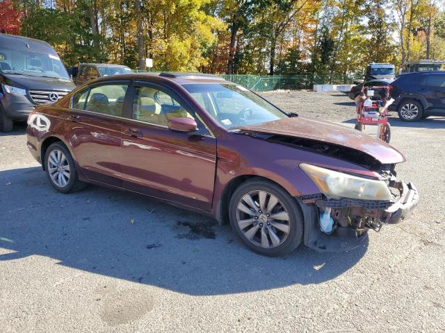 1HGCP2F7XBA029299 - 2011 HONDA ACCORD EX BURGUNDY photo 4