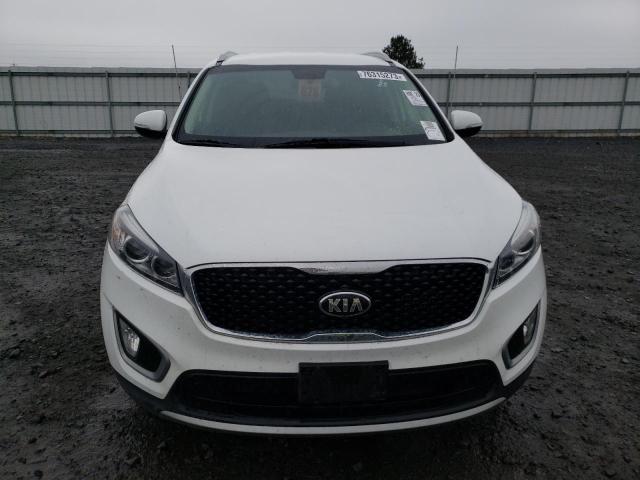 5XYPH4A14GG149294 - 2016 KIA SORENTO EX WHITE photo 5