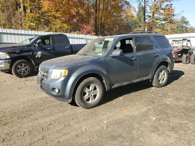 2010 FORD ESCAPE XLT, 