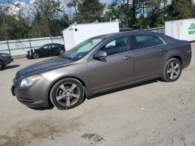 1G1ZC5E19BF380056 - 2011 CHEVROLET MALIBU 1LT 棕色 照片 1