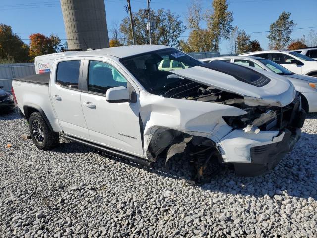 1GCGTEEN7M1103875 - 2021 CHEVROLET COLORADO ZR2 WHITE photo 4