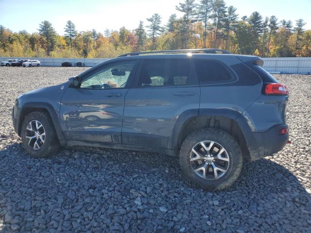 1C4PJMBS1EW134683 - 2014 JEEP CHEROKEE TRAILHAWK GRAY photo 2