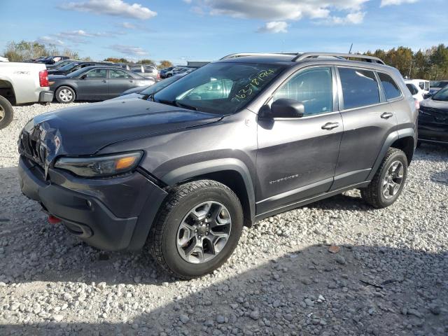 1C4PJMBXXKD217368 - 2019 JEEP CHEROKEE TRAILHAWK GRAY photo 1