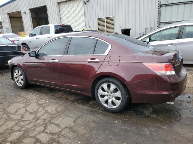 5KBCP3F83AB012848 - 2010 HONDA ACCORD EXL BURGUNDY photo 2